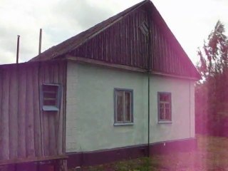 Дом в деревне Орловской области. Даменка.