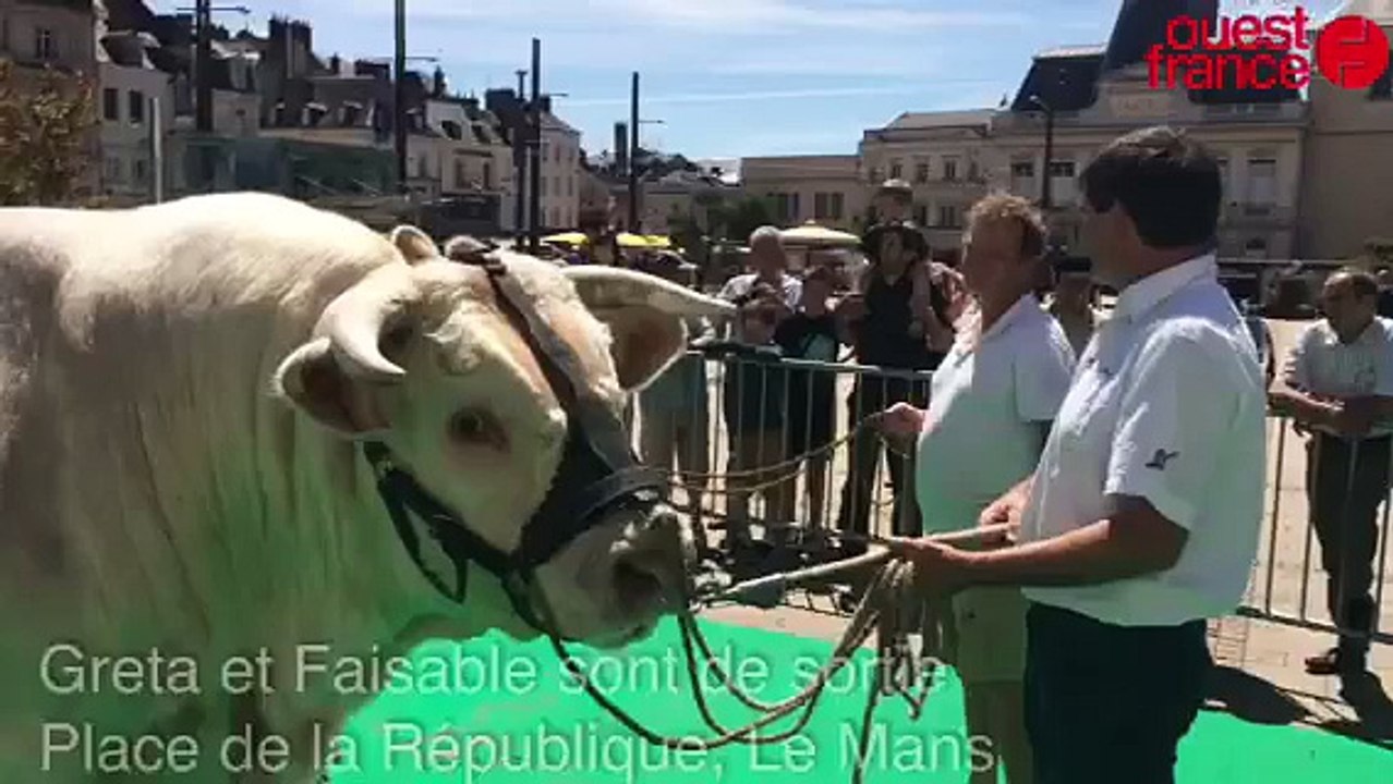 Greta et Faisable sont de sortie