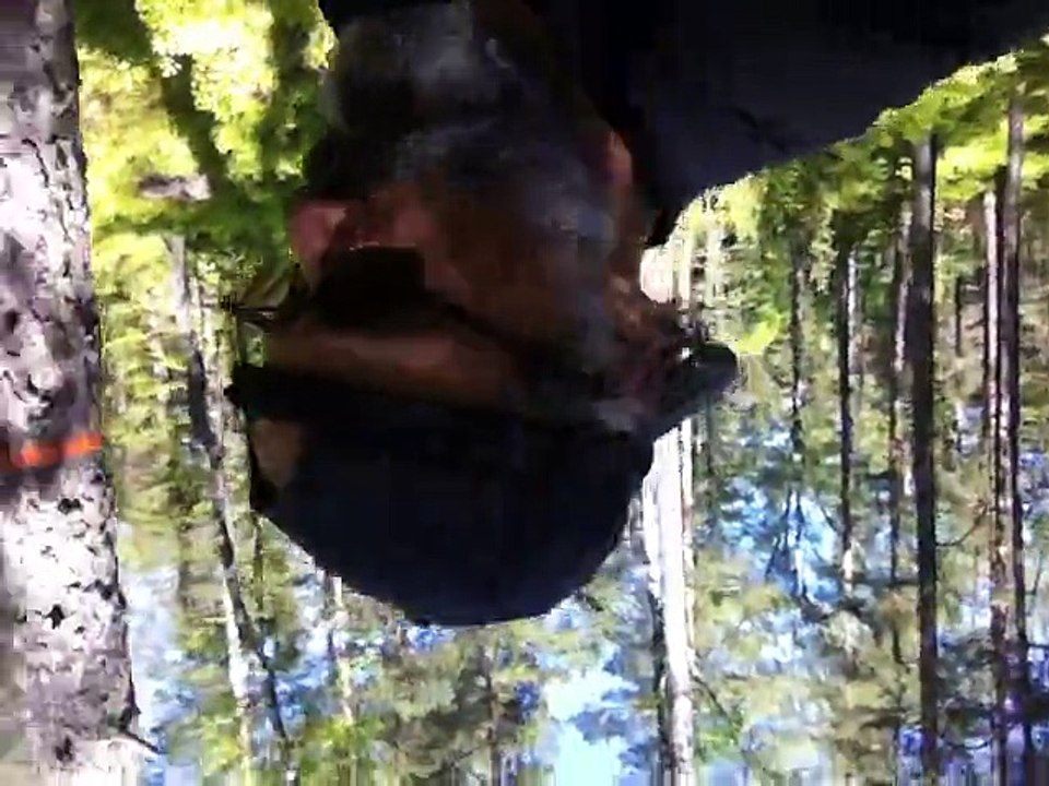 Jun 27 2015 2