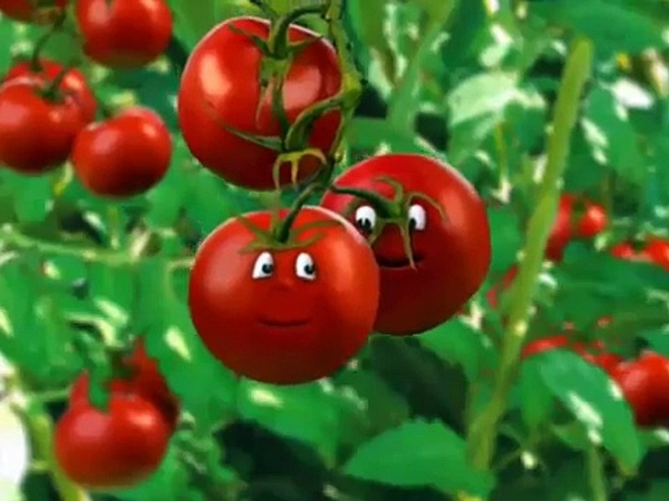 tomato vs. tomato2