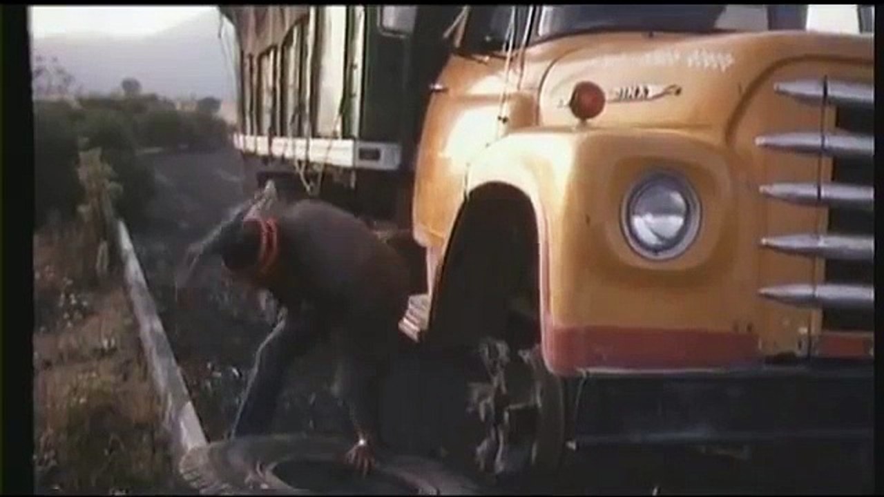 "Tres Veces Mojado" con Los Tigres del Norte.