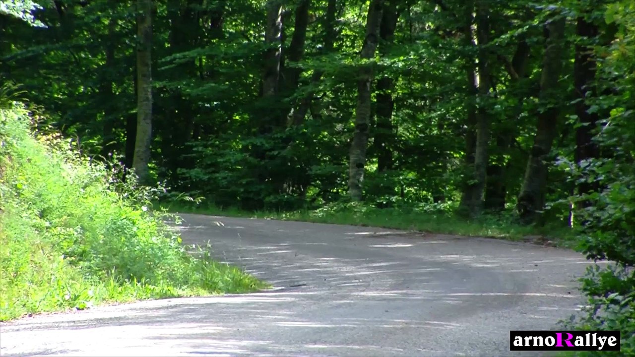 rallye Ecureuil 2015 106 F2/12 Metifiot/Thomas