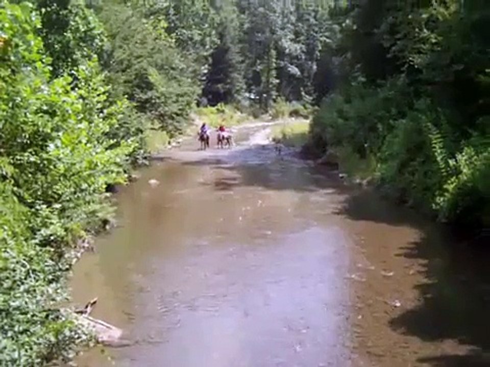 Cooling Off