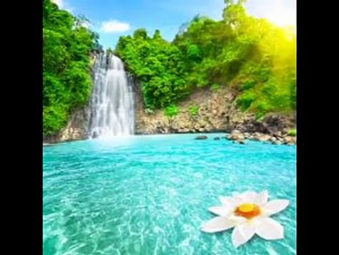 naat by Muhammad jawad ahmad sial