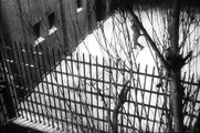 Birdman of Alcatraz (1962) Official Trailer #1