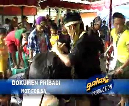 Atraksi Macanan @ Seni Burok MJS Pegambiran Cirebon Clip Galaxi Production