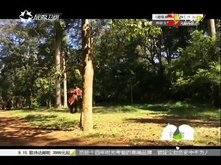 20150627 行者   别叫我宝贝：胜利大逃亡