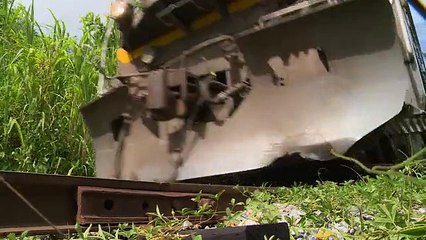 Los menores que se suben a "La Bestia" para llegar a Estados Unidos