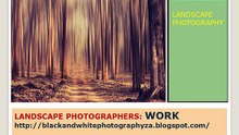 Landscape Photographers