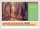Landscape Photographers