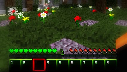 Resource Pack - #VerdinhaPack PvP/HG - Minecraft (60 FPS)