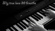 SALLY ANN (Rufus Wainwright) piano cover   lyrics