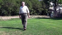 Controlling Grubs in Your Lawn -- Expert Lawn Care Tips
