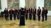 «Նարեկ» երգչախումբ. «Սարերի վրով» և «Էրի Էրի» | Narek Choir performs 