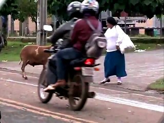 Angry RAM attacks on people