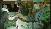 UZA viert kwarteeuw stamceltransplantaties