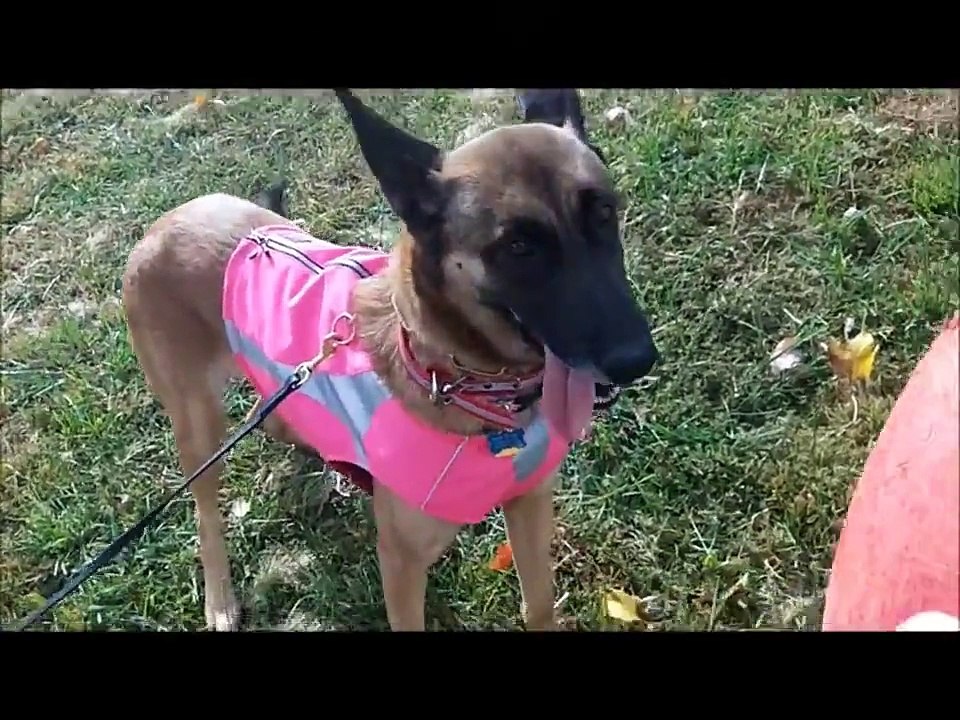 Sheena's First Day