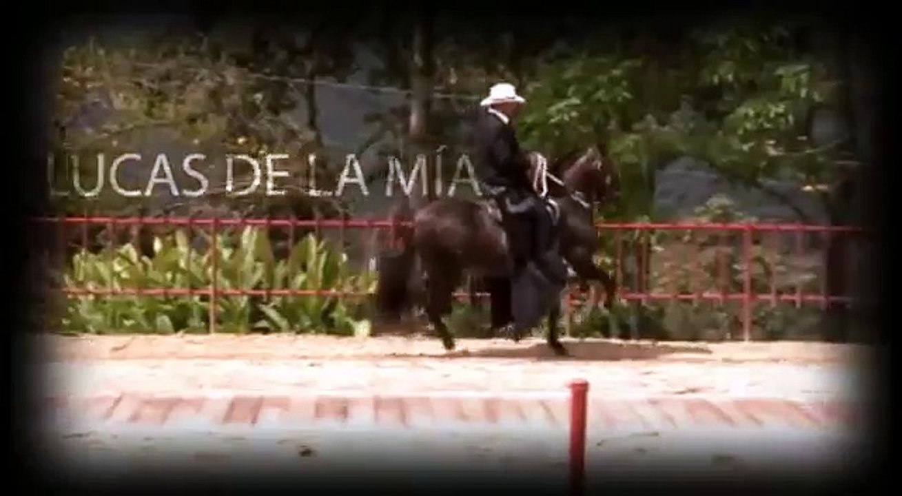 LUCAS DE LA MIA COMERCIAL