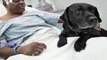 Cecil Williams to Keep Guide Dog Who Saved Him After Donations Pour In