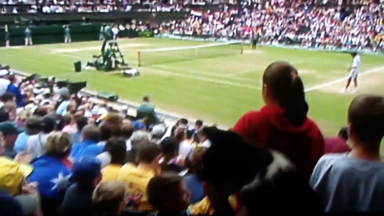 Kitten interacts with Wimbledon on the TV