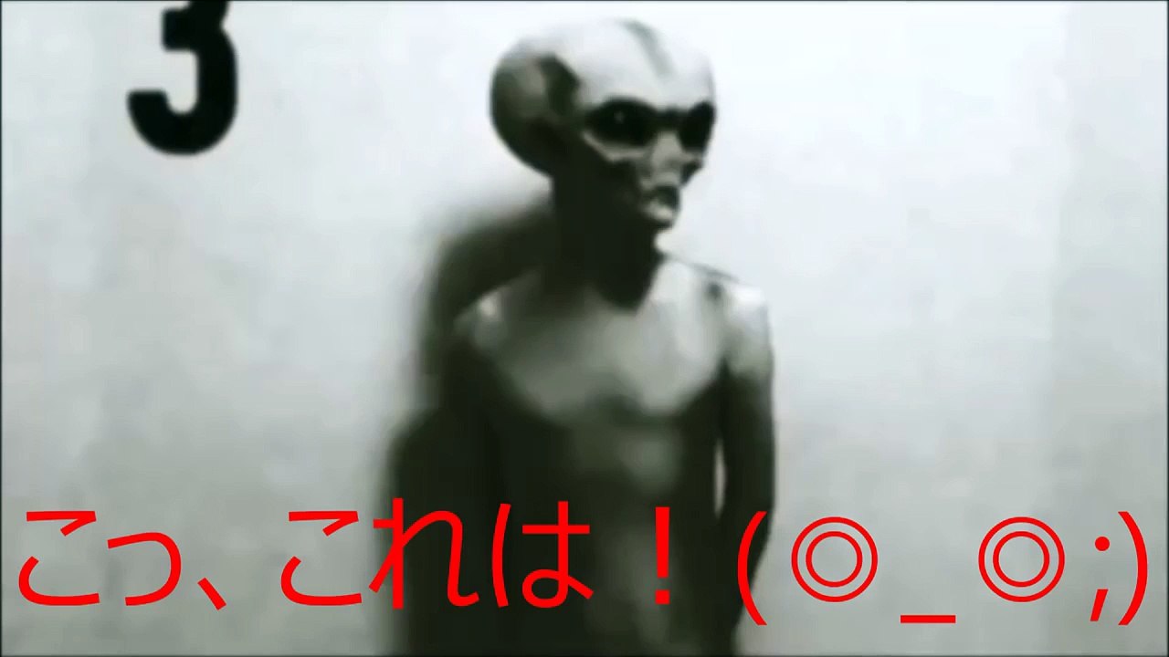 【宇宙人グレイ】驚愕！！生きた宇宙人の映像！　≪ゲキサツ！≫