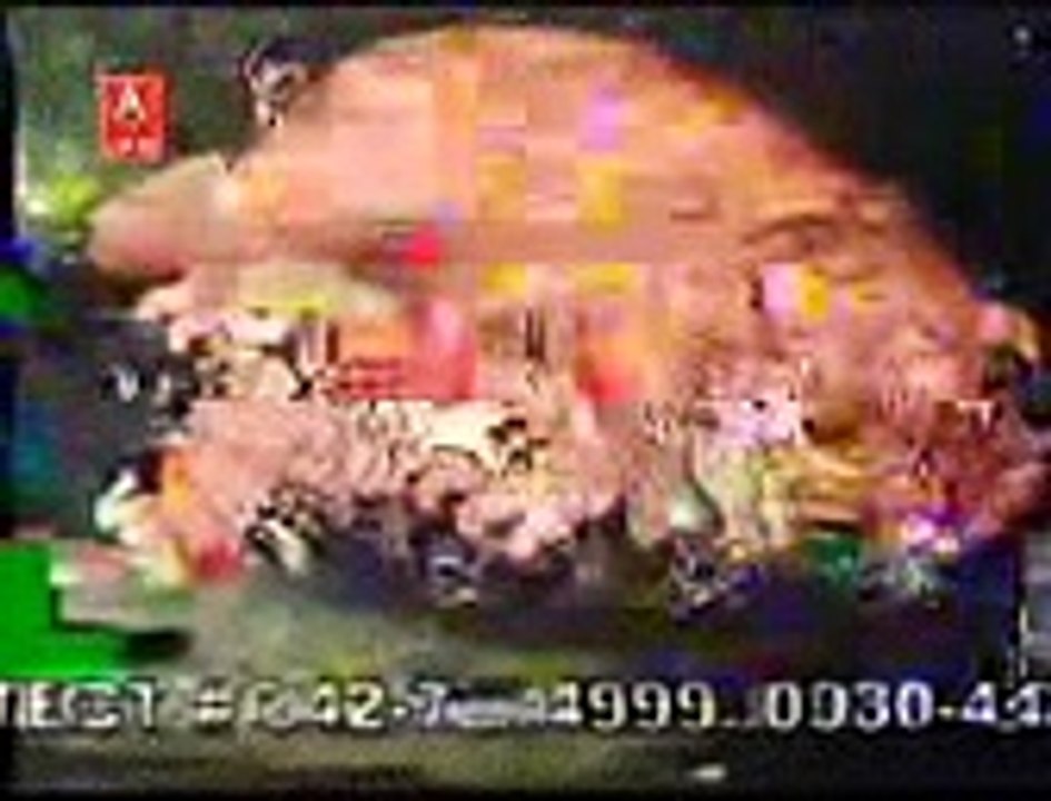 videoplayback_11