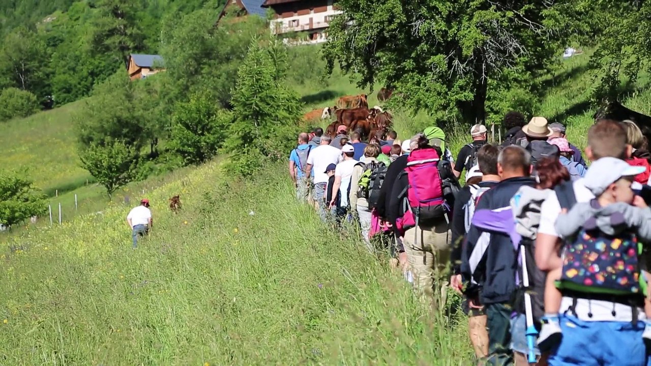 l’Emmontagnage à Saint Jean d’Arves - samedi 21 juin 2015