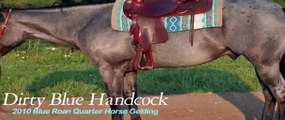 For Sale - Dirty Blue Handcock, 2010 Blue Roan Quarter Horse Gelding