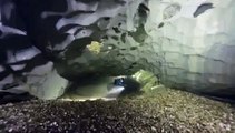 Cave Diving Underground | Underwater Wonders of Jamtland | Traveling , World Documentary