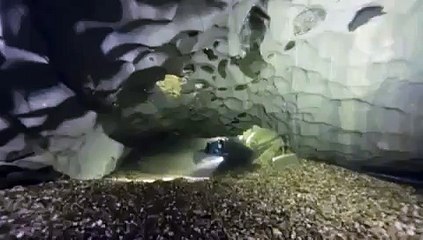 Cave Diving Underground | Underwater Wonders of Jamtland | Traveling , World Documentary