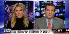 • Ted Cruz: We Are Witnessing A Constitutional Crisis • Kelly File • 11/19/14 •