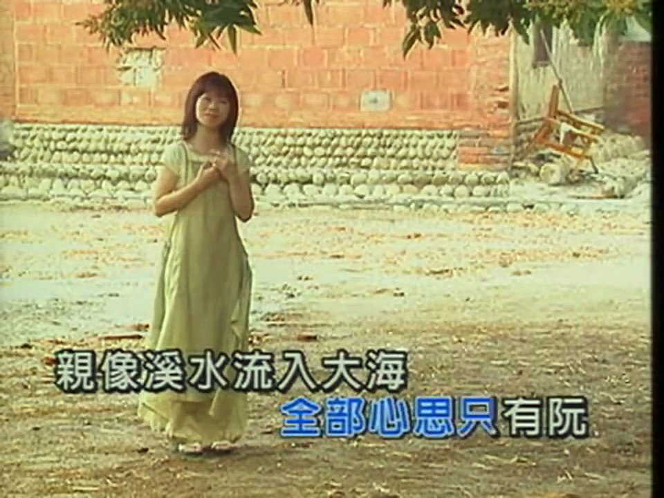 詹雅雯-阿母的手-KTV