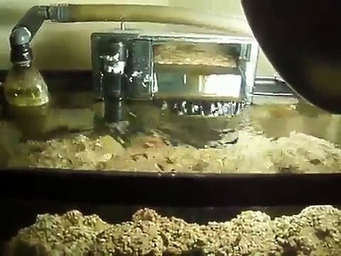 10:10G NANO *Den room tank* update (Build a 100$ SW FOWLR NANO) w/DIY LiveRock