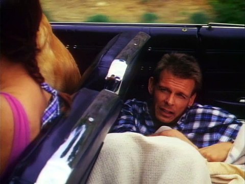 Наблюдатели 2 (ужасы, фантастика)