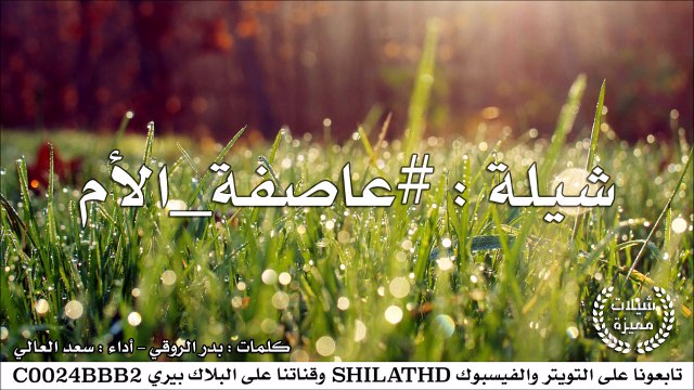 شيلة : عاصفة الأم - أداء سعد العالي | أصلي + مسرع | #شيلات #صوتيات