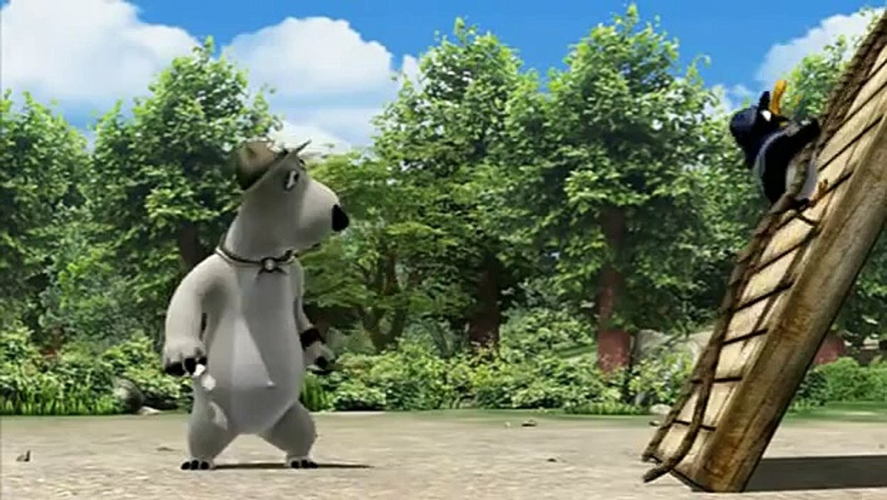 İzci 1 - Sakar Ayı Bernard Bear