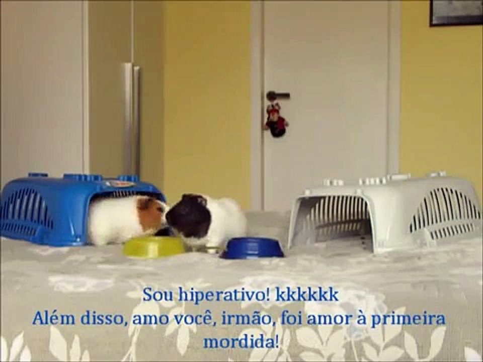 Hamtaro e Sol