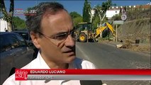 Évora: Câmara abate plátanos para melhorar visibilidade no heliporto do hospital