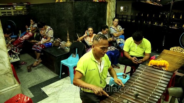 Thai xylophone being played by musician - Erawan Shrine, Bangkok