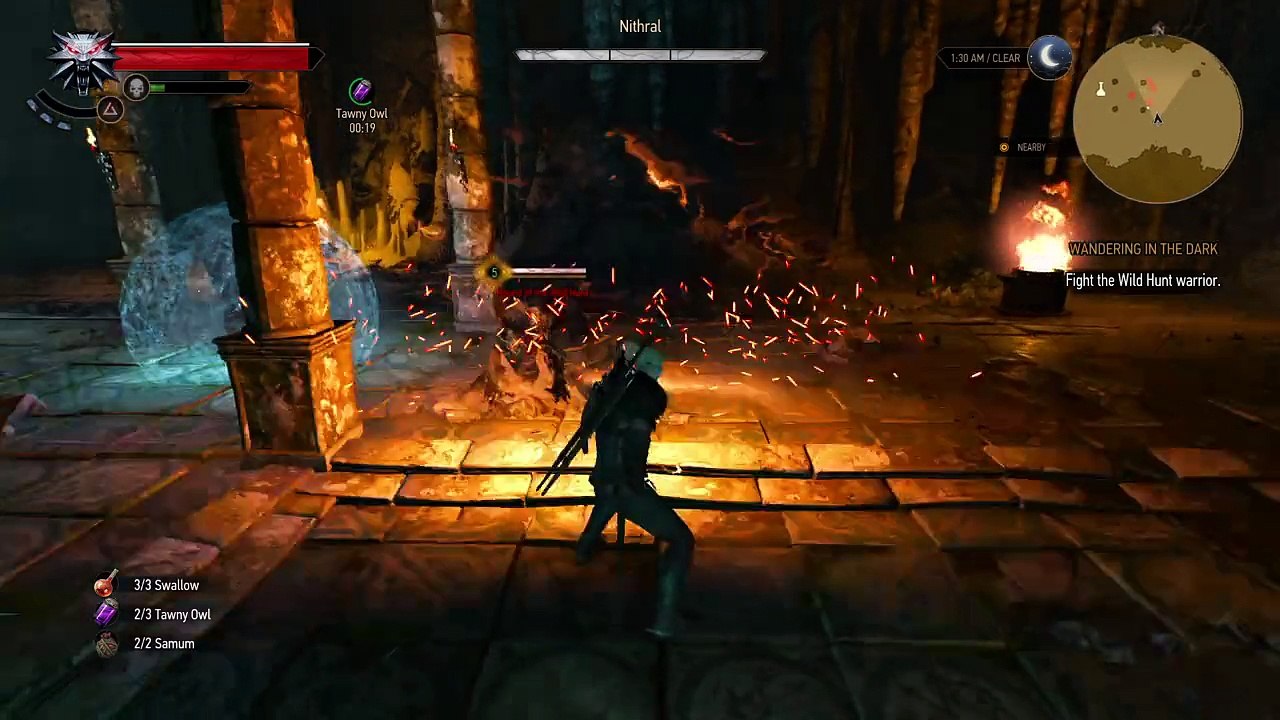 The Witcher 3: Wild Hunt fight