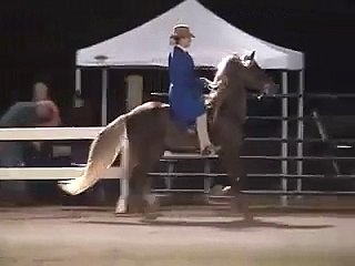 United Mountain Horse Spring Premier 2009 Trail Championship