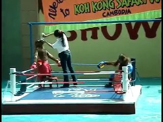 Monkey Boxing