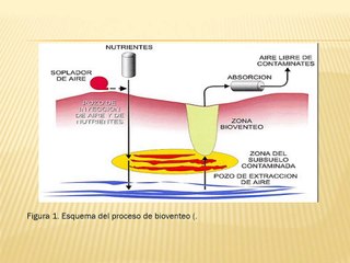 Tecnologias de remediación de suelos.