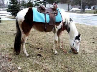 March 9, 2008--Happy 3rd Birthday, Blu!