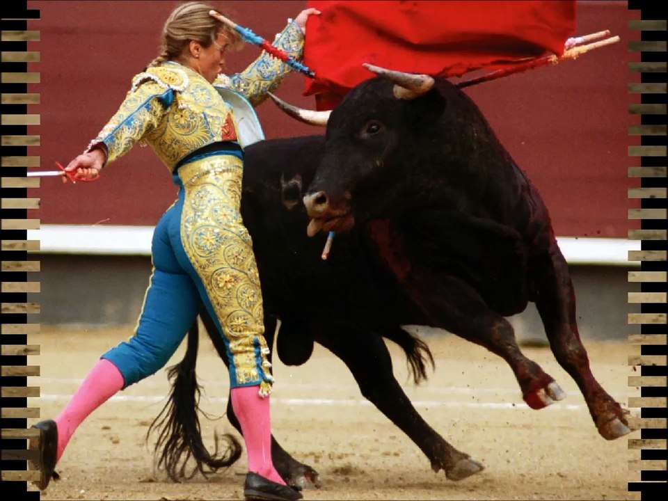 Bullfighting!