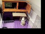Rabbit cage tour + update