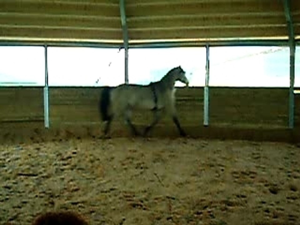 2007_0403_165258