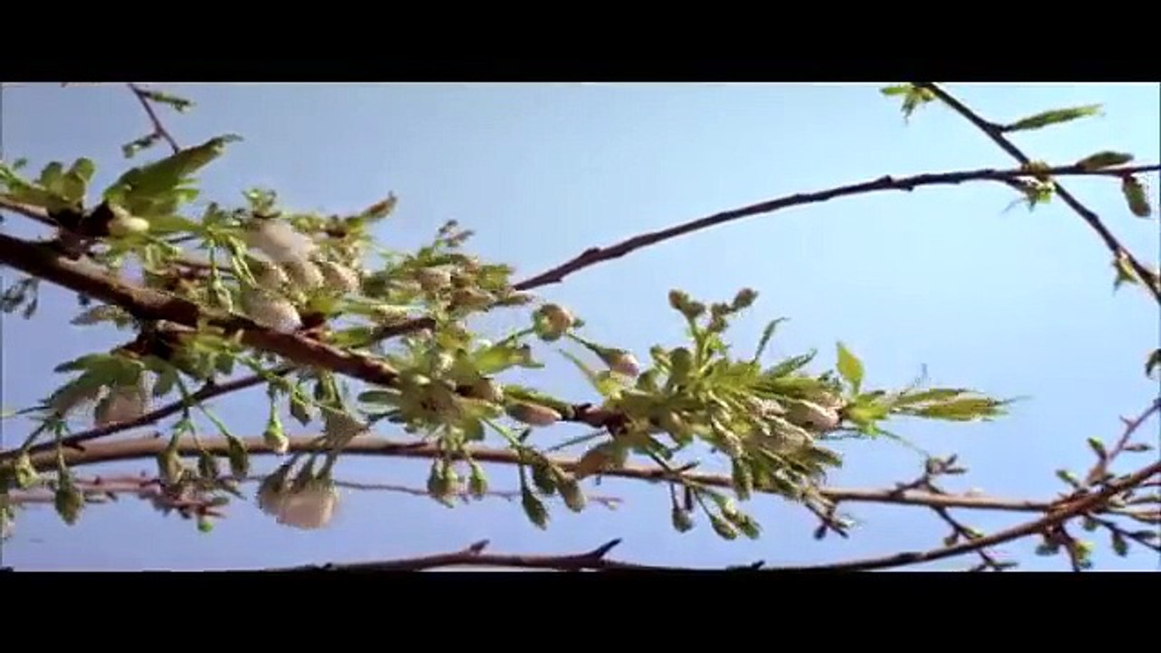 Natural scenes AD for Travel Agency
