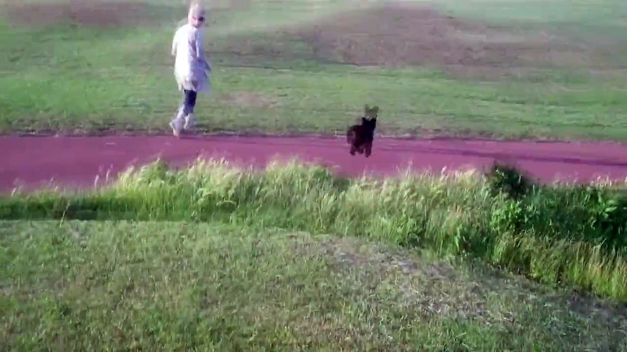 Old Lady Attacks Dog