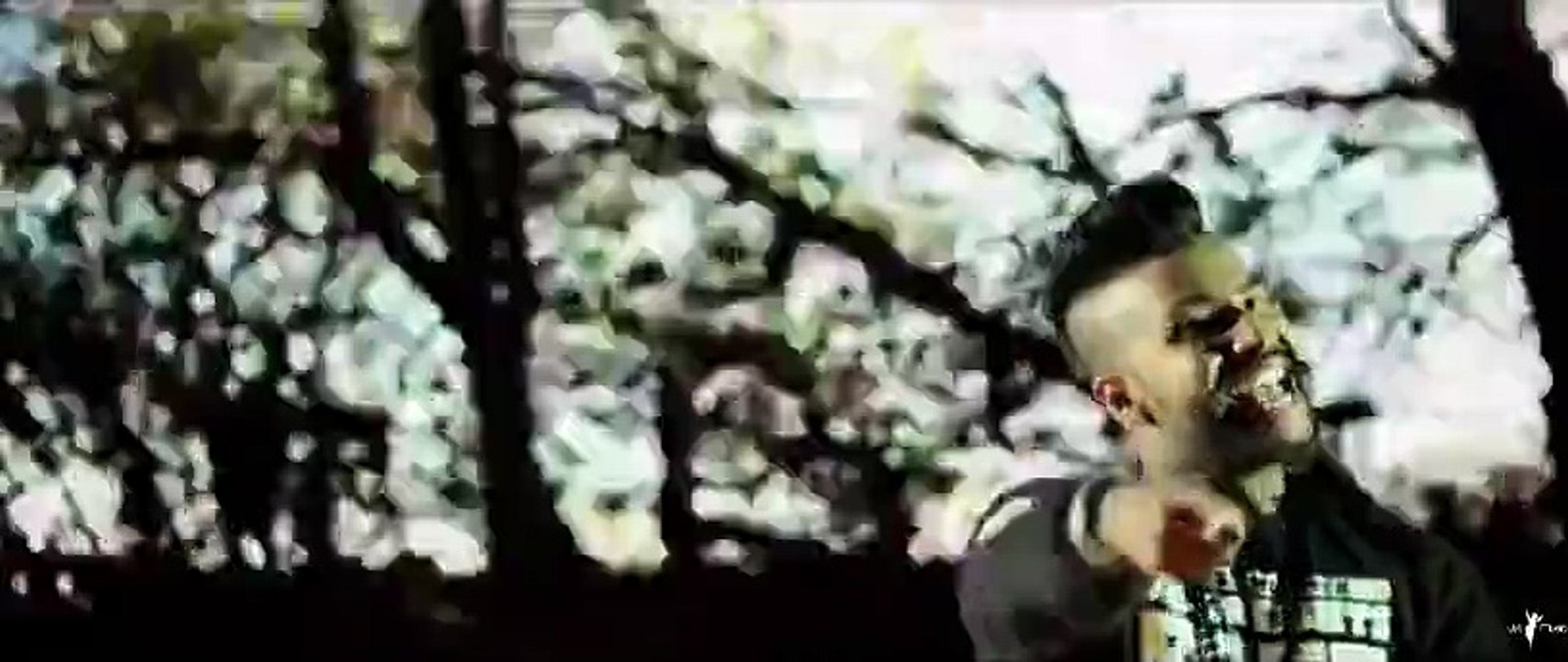 Sukh-E Muzical Doctorz ft. Bohemia - Jaguar (Official Video HD) - Video